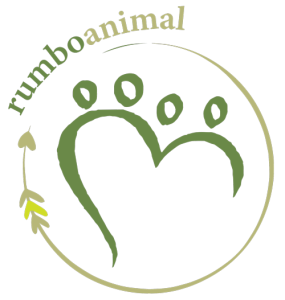 logo redondo rumbo animal