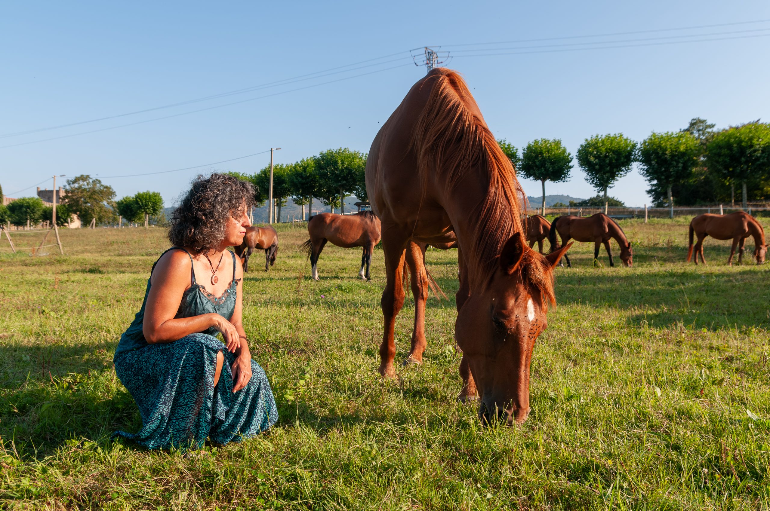 Almudena con la manada de caballos