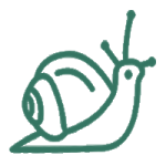 MÓDULO 8. CARACOL