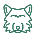 MÓDULO 4. LOBO