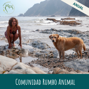 Comunidad Rumbo Animal - anual